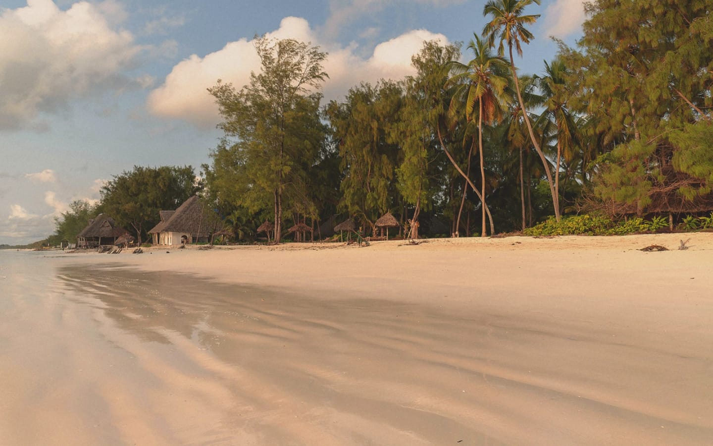 Quando andare a Zanzibar: i periodi migliori