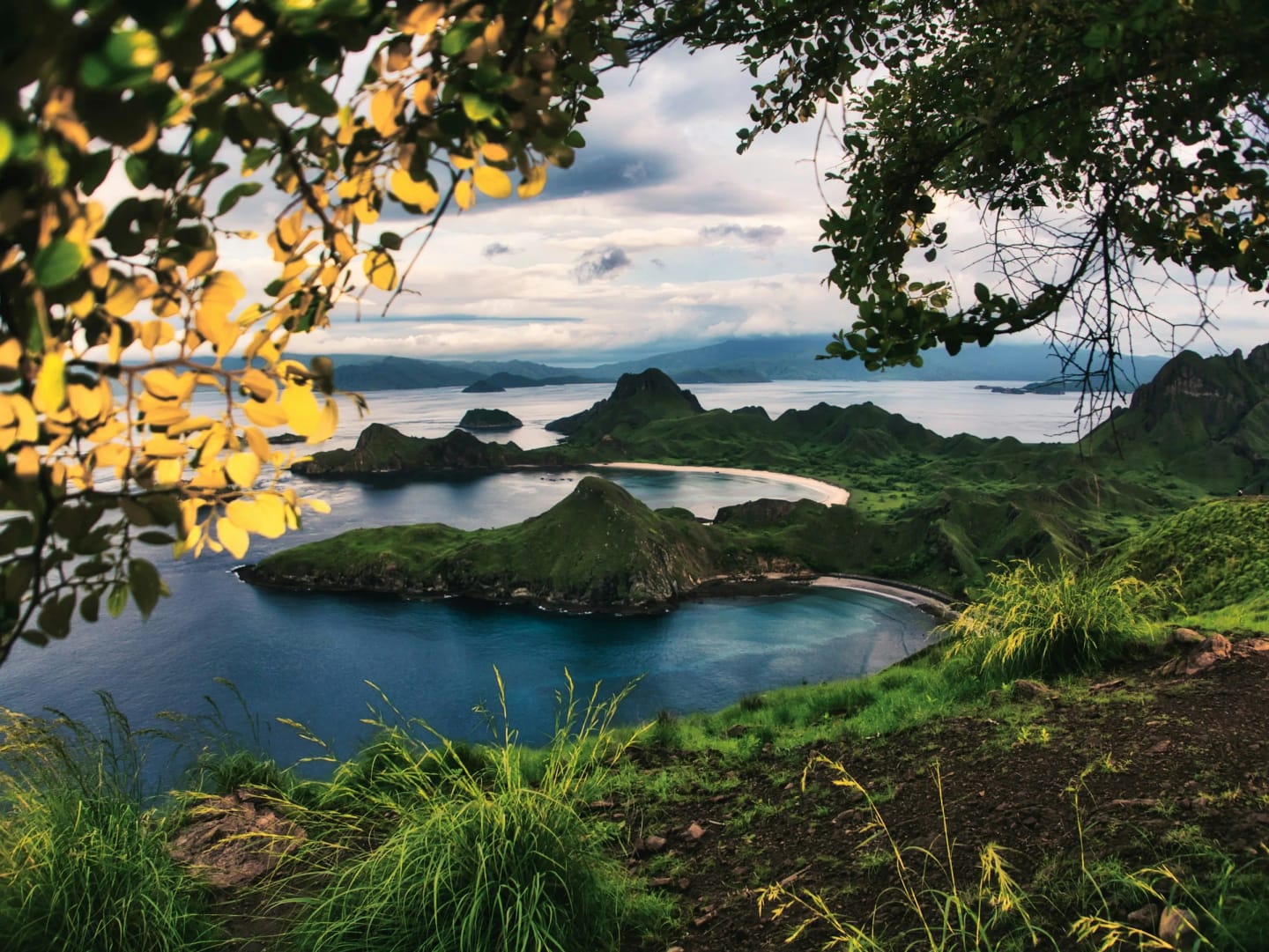 Viaggio di Gruppo in Indonesia e Komodo