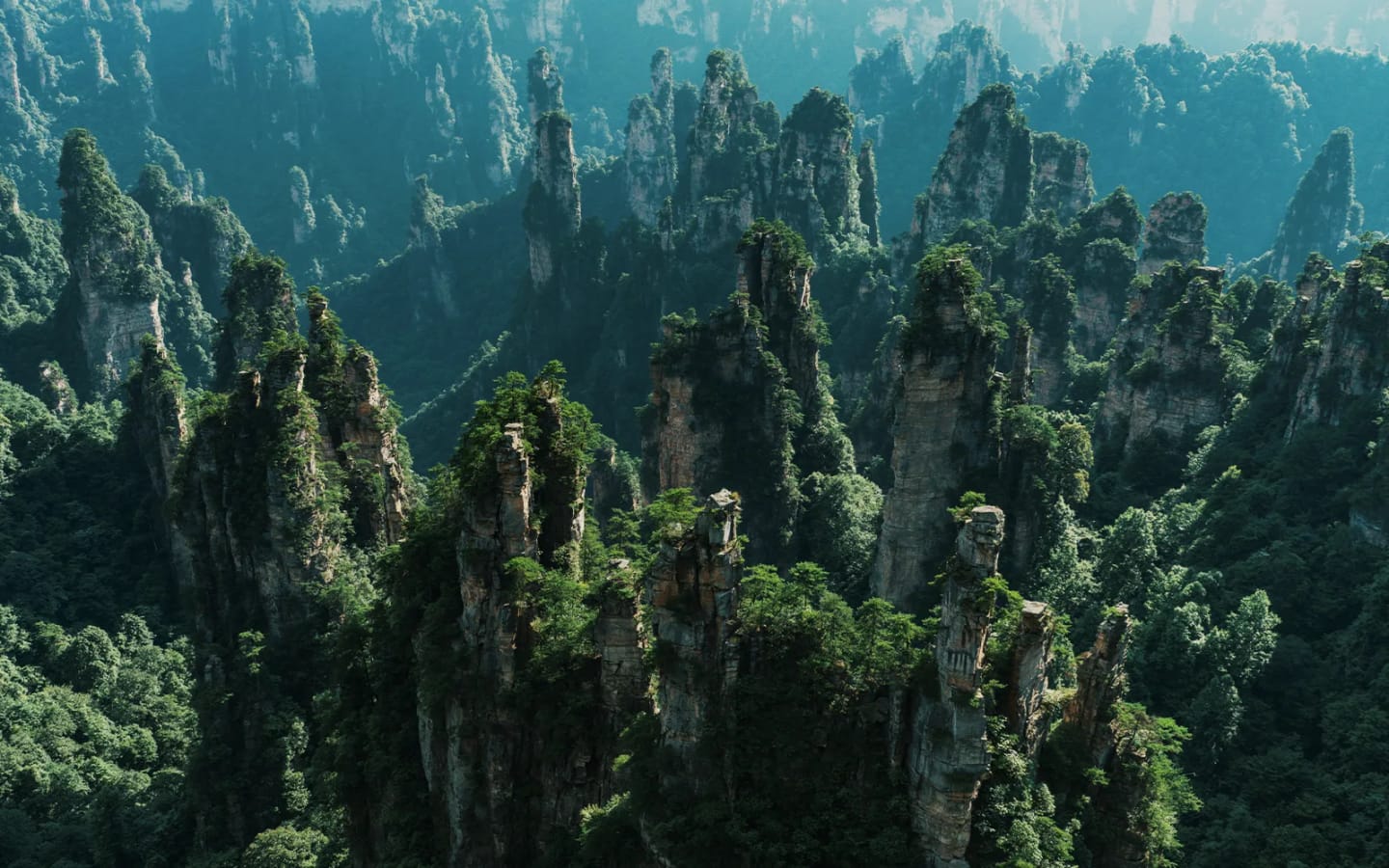 Viaggio di gruppo in Cina
