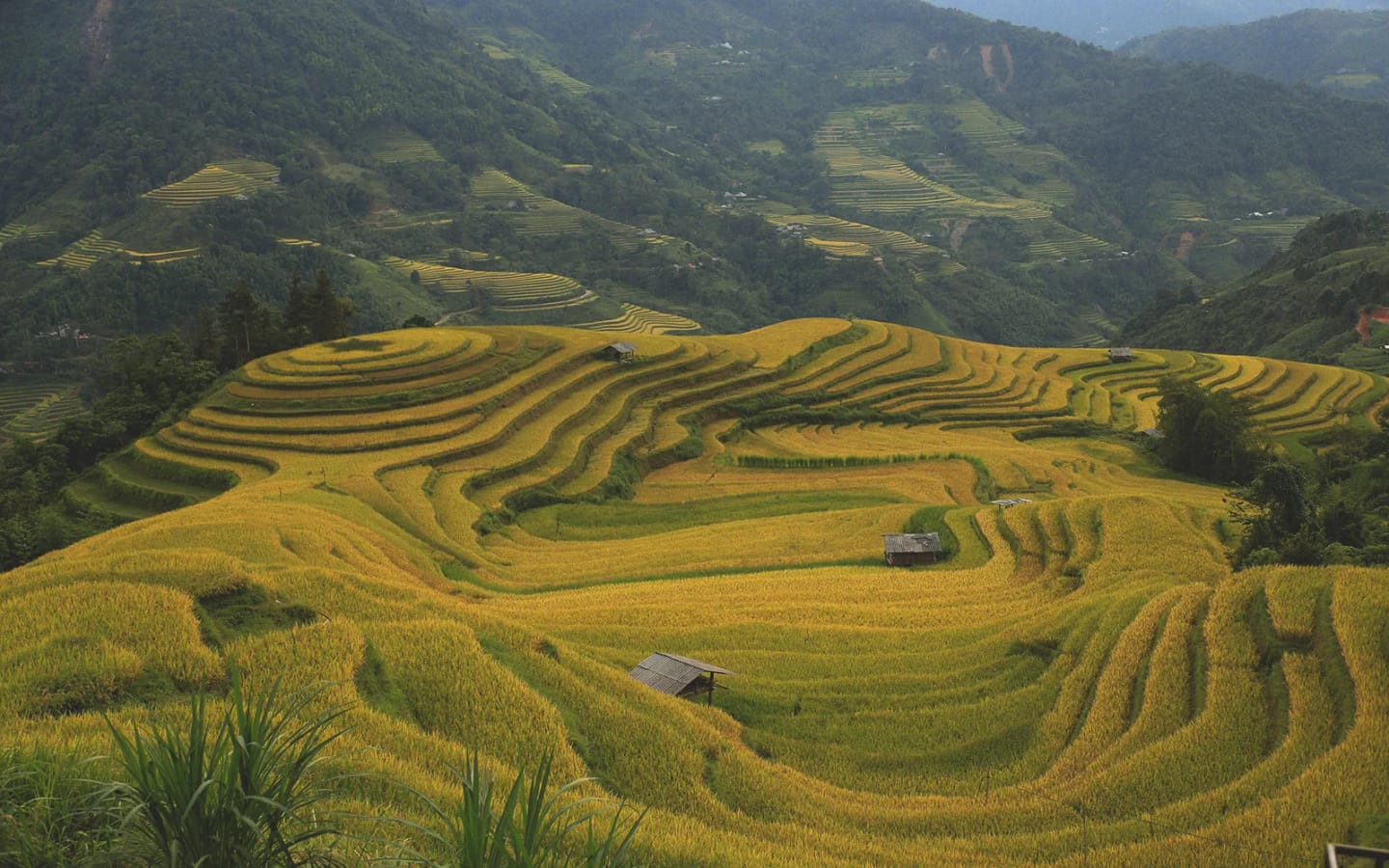 7 esperienze uniche da vivere nel Sud-Est Asiatico