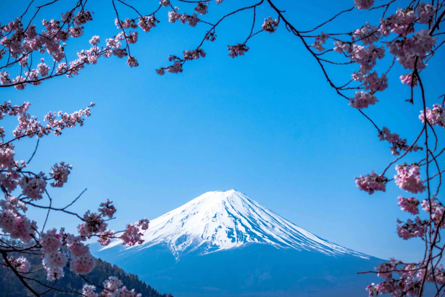 Viaggi di gruppo in Primavera