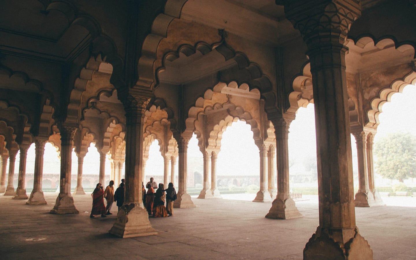 India: 10 attività uniche tra cultura, natura e spiritualità
