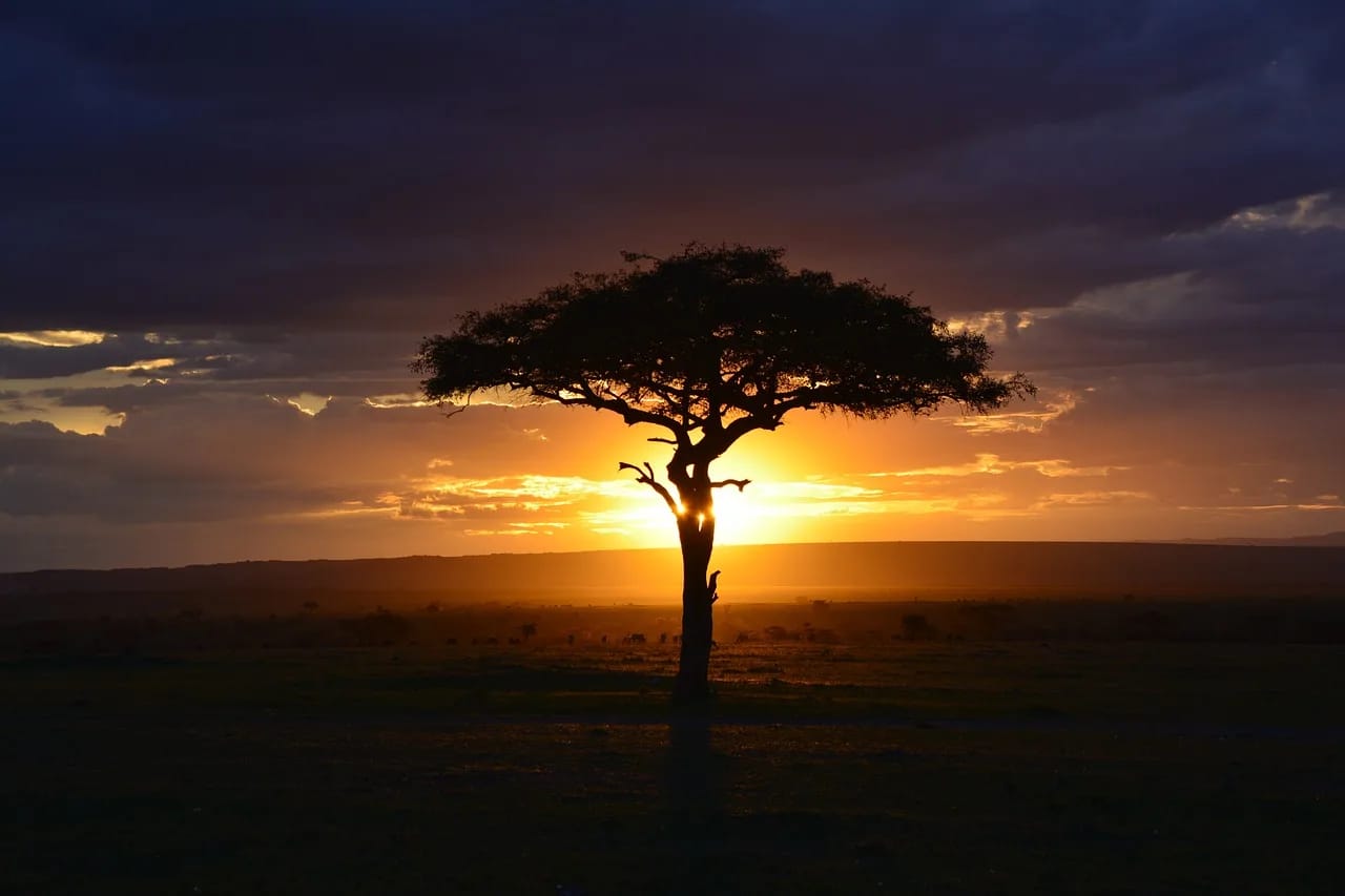 Viaggio in Kenya: cosa vedere assolutamente in 7 giorni