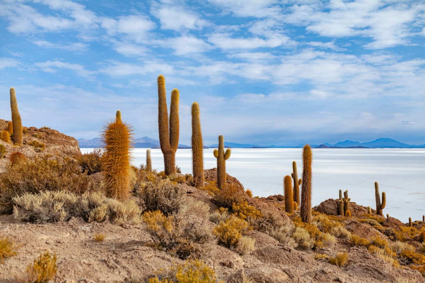 Perù & Bolivia: La Transandina