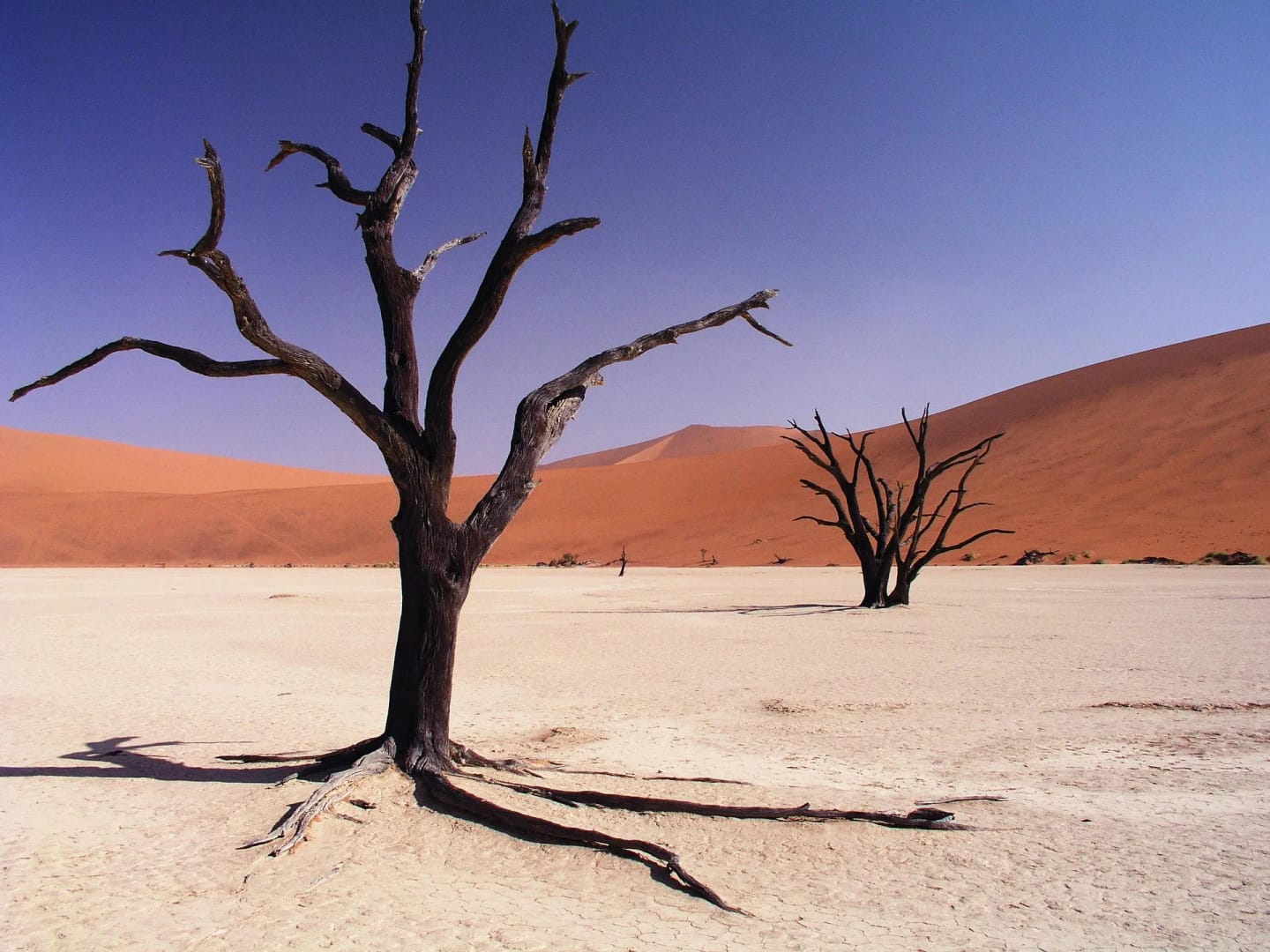 Tutto ciò che c'è da sapere su Sossusvlei, tra i luoghi più incredibili della Namibia