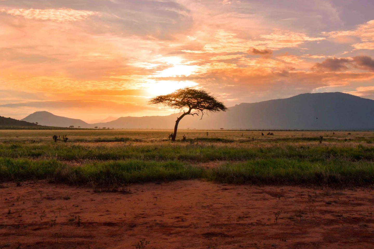 Viaggi di gruppo in Africa