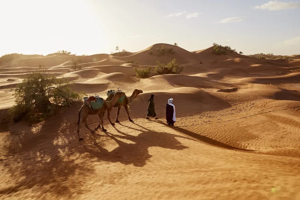 Marocco - Esperienza nel deserto con i berberi