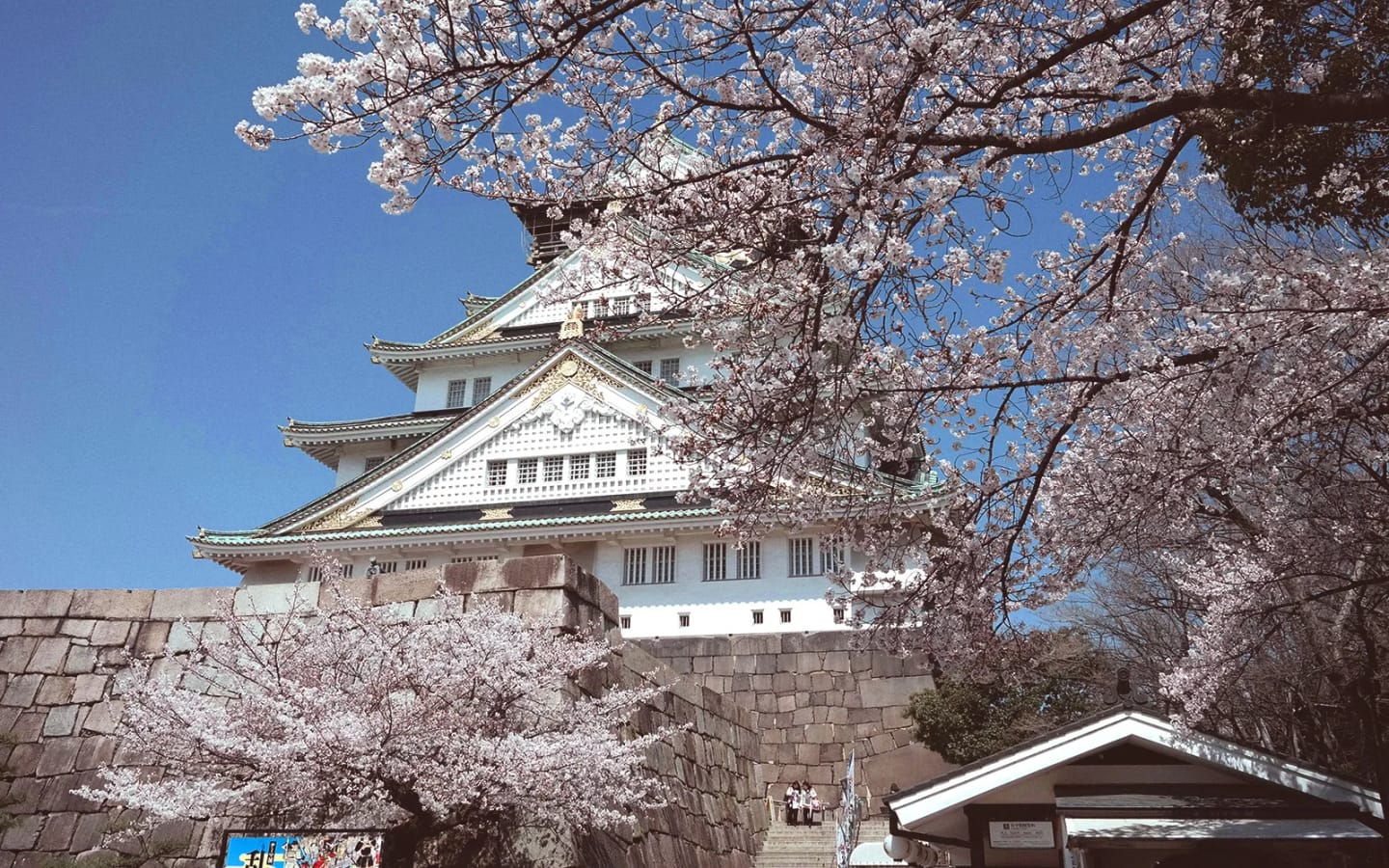 Scoprite cosa vedere a Osaka in un viaggio di gruppo in primavera