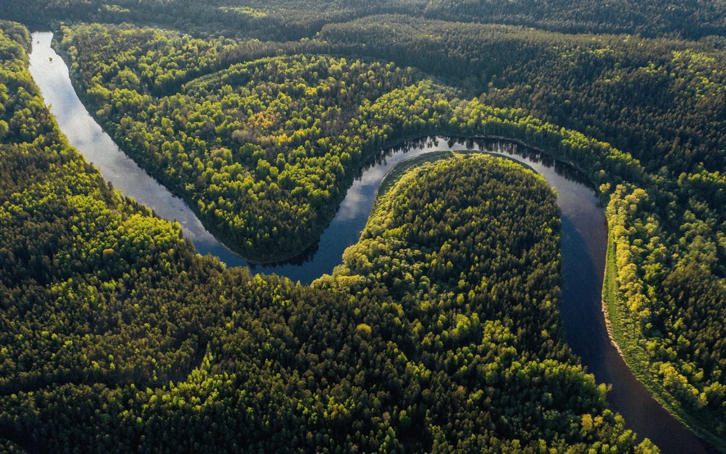 Avventura nella Foresta Amazzonica: guida completa