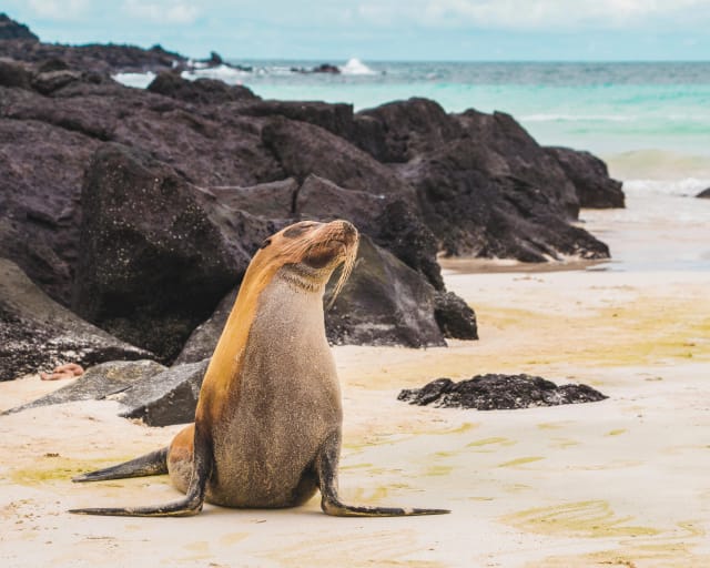 Viaggi di gruppo Ecuador e Isole Galapagos