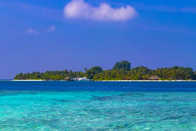Maldive Coral Reef Adventure