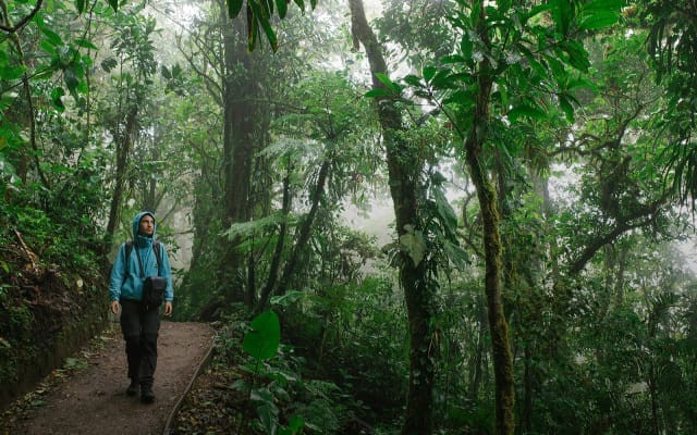 naturawild
