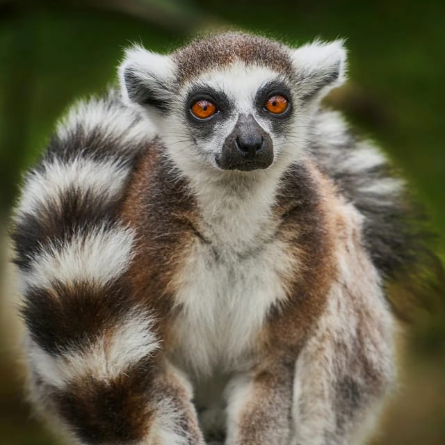 Viaggio di gruppo in Madagascar