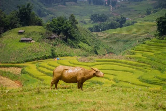 Viaggio di gruppo in Vietnam del Nord