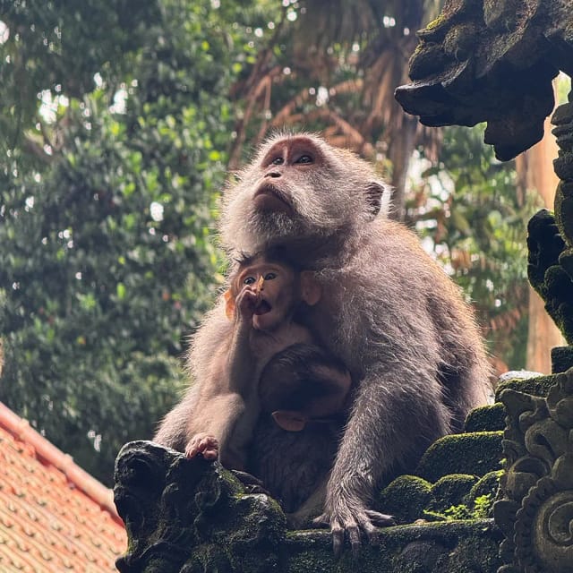 Viaggio di gruppo Bali e Gili