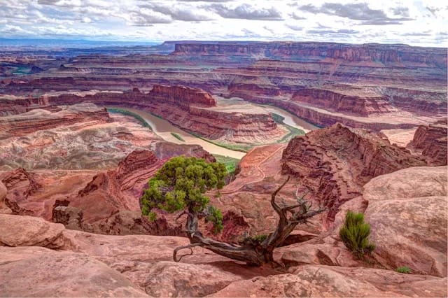 Viaggio di Gruppo negli Usa