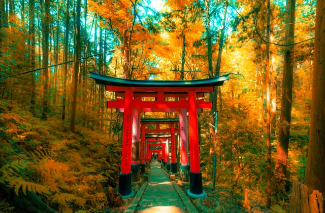 Viaggio di gruppo in Giappone: Tokyo, Kyoto & Osaka