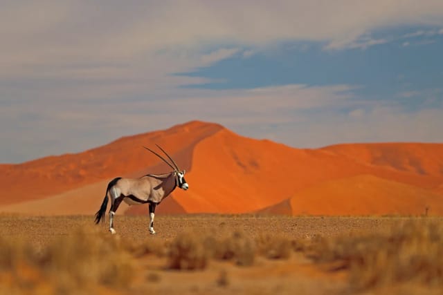 Namibia Sky Trip