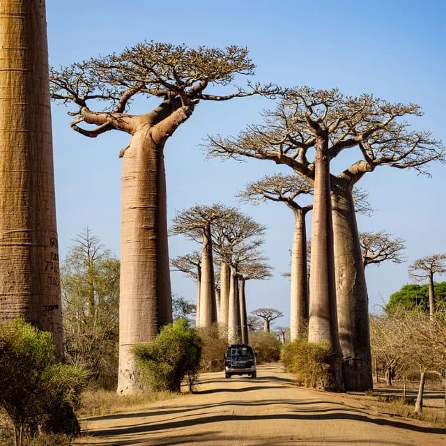 Viaggio di gruppo in Madagascar