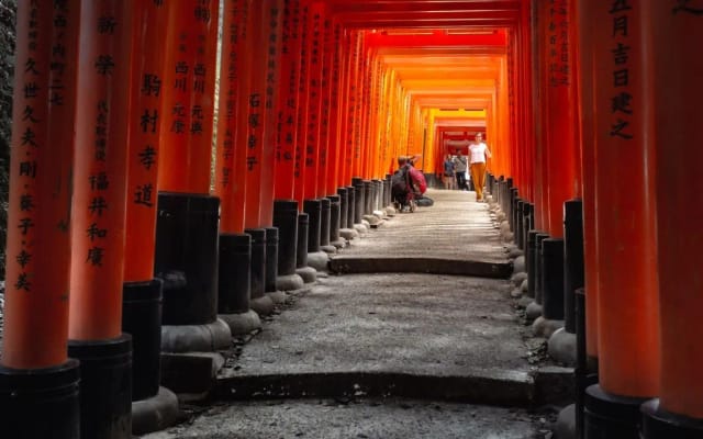 Giappone Hanami: Rail Adventure con Adrian