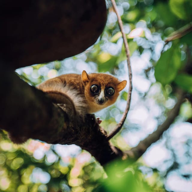 Viaggio di gruppo in Madagascar