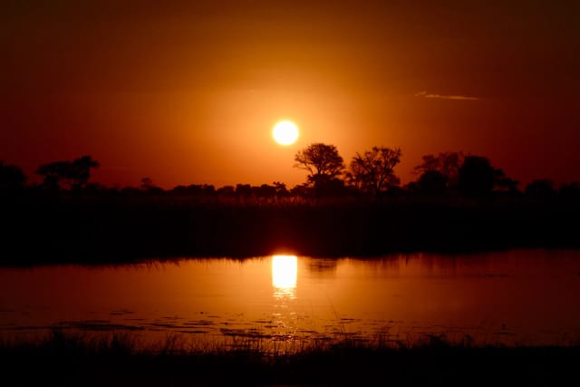 viaggio di gruppo botswana e zimbabwe