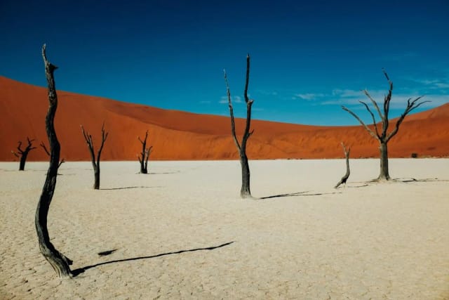 Namibia Sky Trip