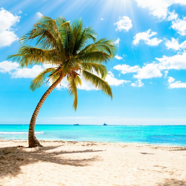 Viaggio alle Seychelles