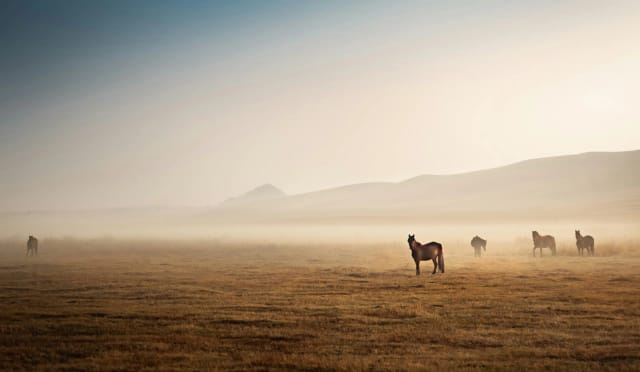 Mongolia Inedita con Sara Melotti