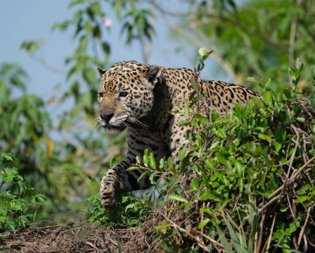 Viaggio di Gruppo in Brasile