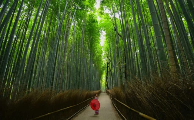 Viaggio in Giappone