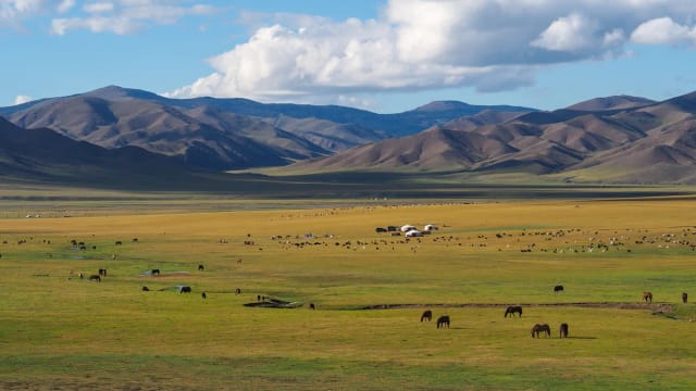 Viaggio di gruppo in Mongolia